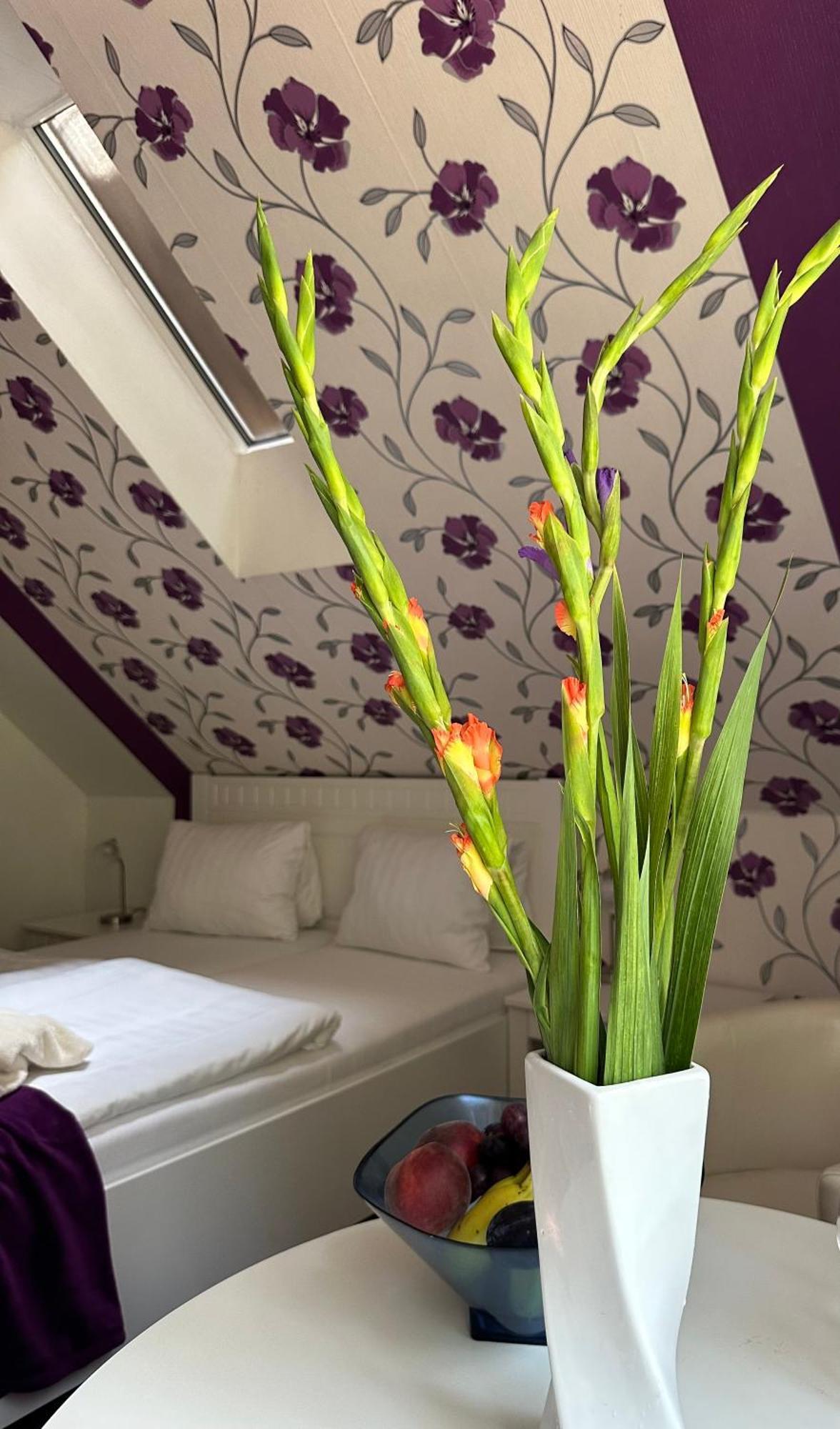 Wellness Penzion Harmonie Rohanov Prachatice Extérieur photo